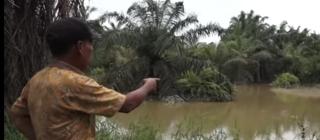 Dugaan Pencemaran, PT RAPP Bungkam dan Terkesan Kebal Hukum!